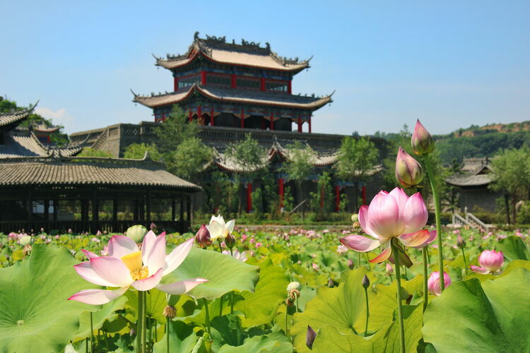 【云游渭南】心中若有桃花源，此處便是水云間！待疫情散盡，一起來渭南桃花源賞美景、觀民俗、享美食_fororder_2